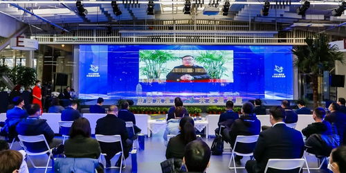 京津冀運河文化旅游城市合作組織 以文化藝術交流為紐帶，共繪協同發展新畫卷